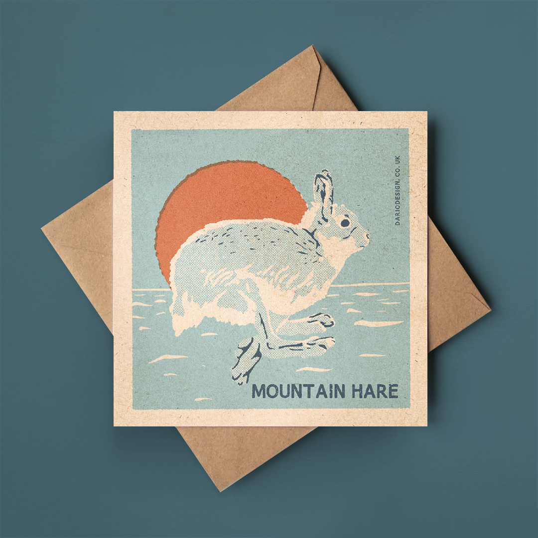 Mountain Hare greeting card