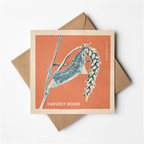 Harvest Mouse greeting card