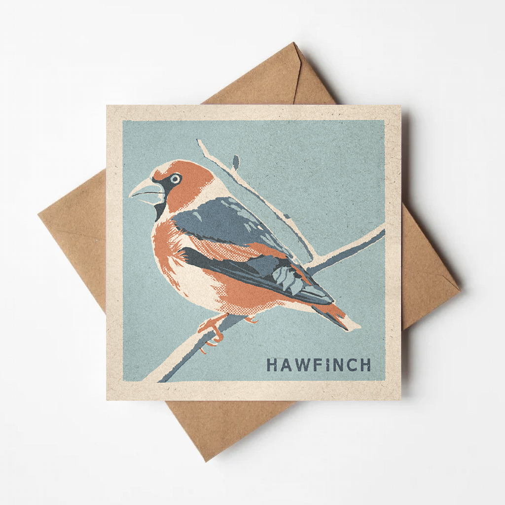 Hawfinch greeting card