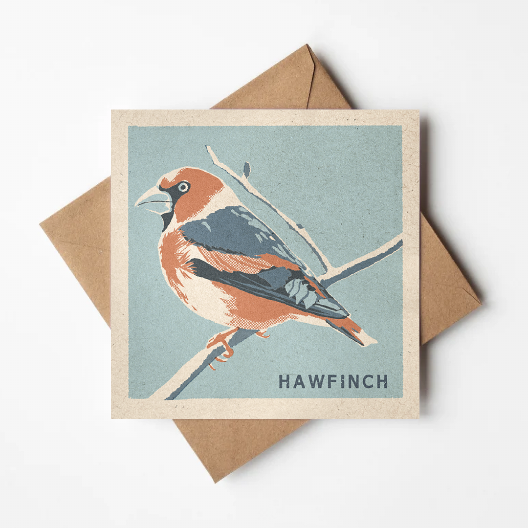 Hawfinch greeting card