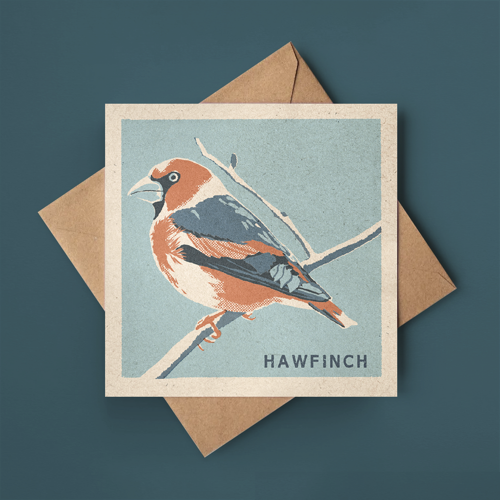 Hawfinch greeting card