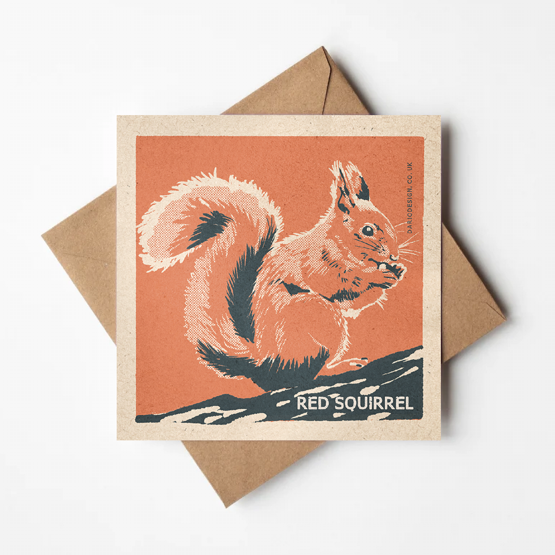 Red Squirrel greeting card