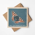 Tortoiseshell Butterfly greeting card