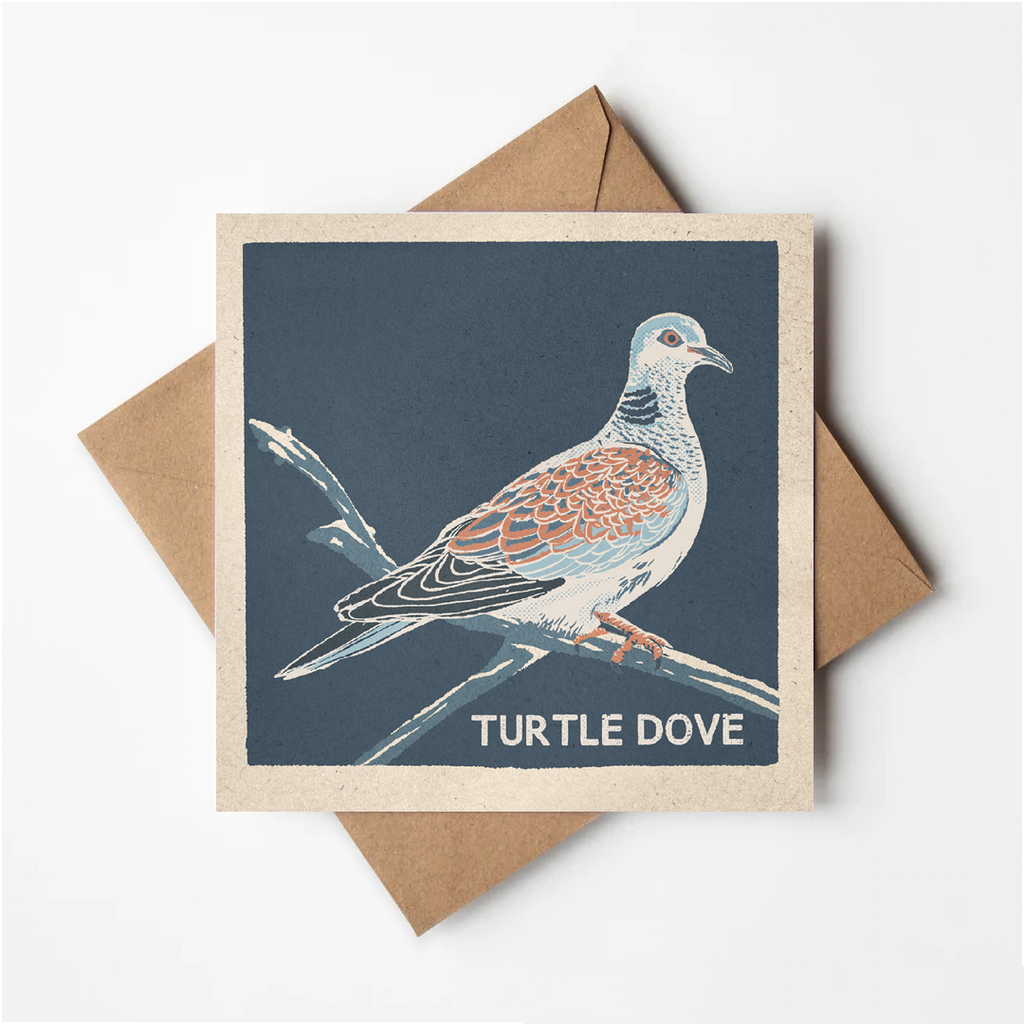 Turtle Dove greeting card