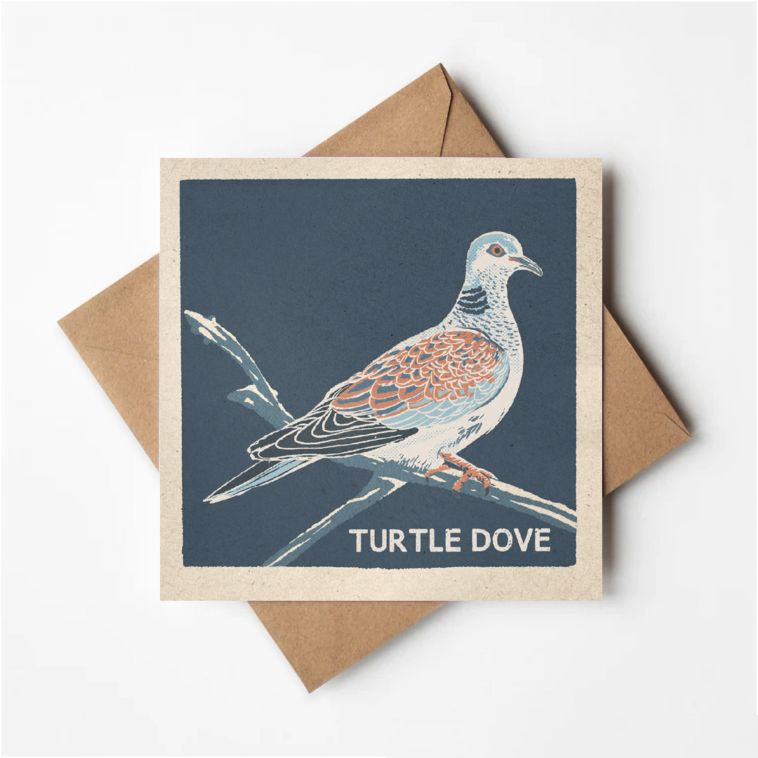 Turtle Dove greeting card