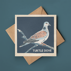 Turtle Dove greeting card