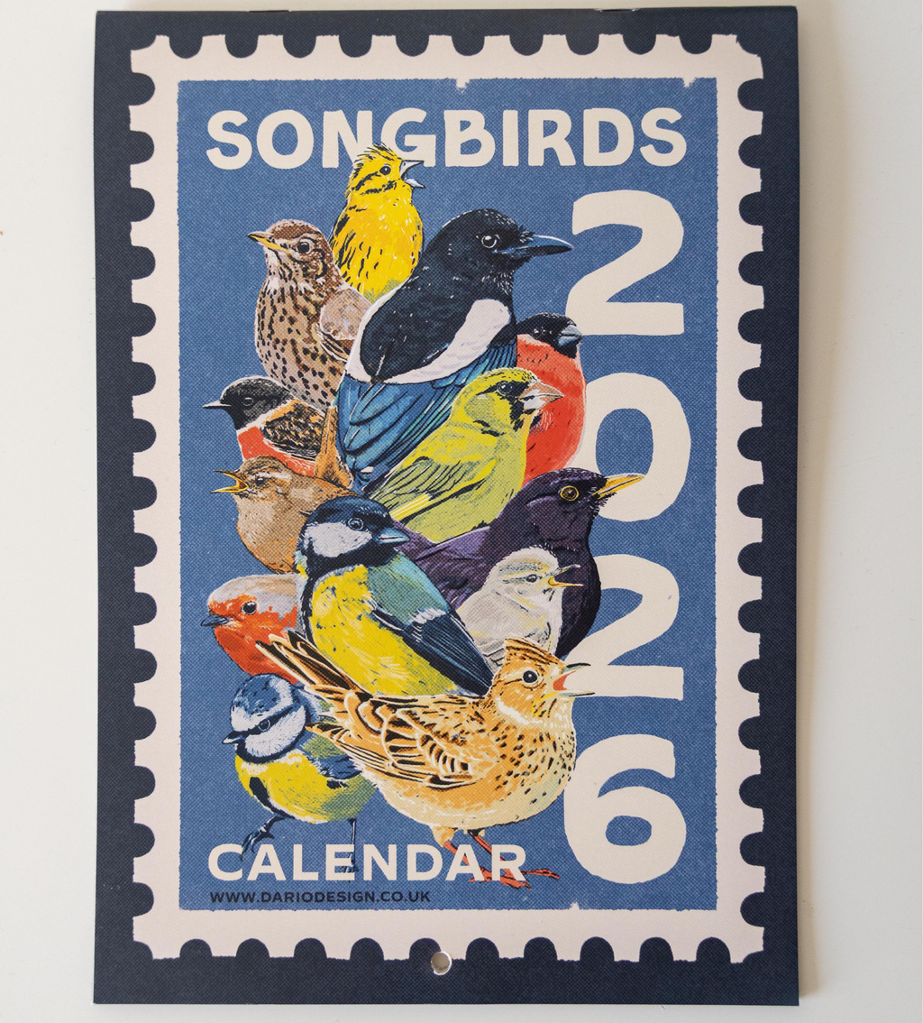 Songbirds - 2026 retro illustrated calendar