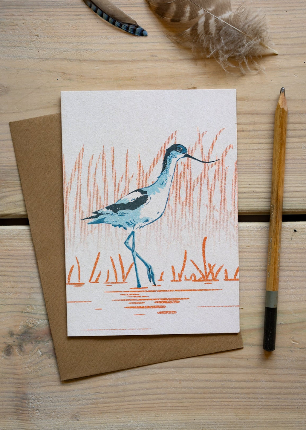 Avocet - A6 Greeting Card