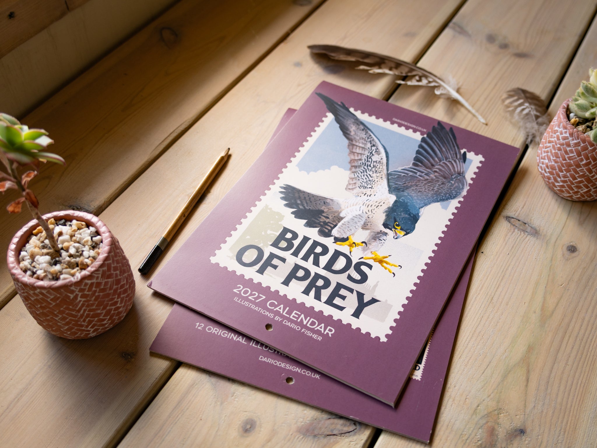 NEW! Birds of Prey - 2027 illustrated calendar