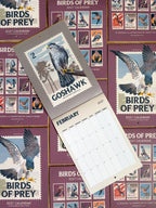 NEW! Birds of Prey - 2027 illustrated calendar