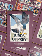 NEW! Birds of Prey - 2027 illustrated calendar
