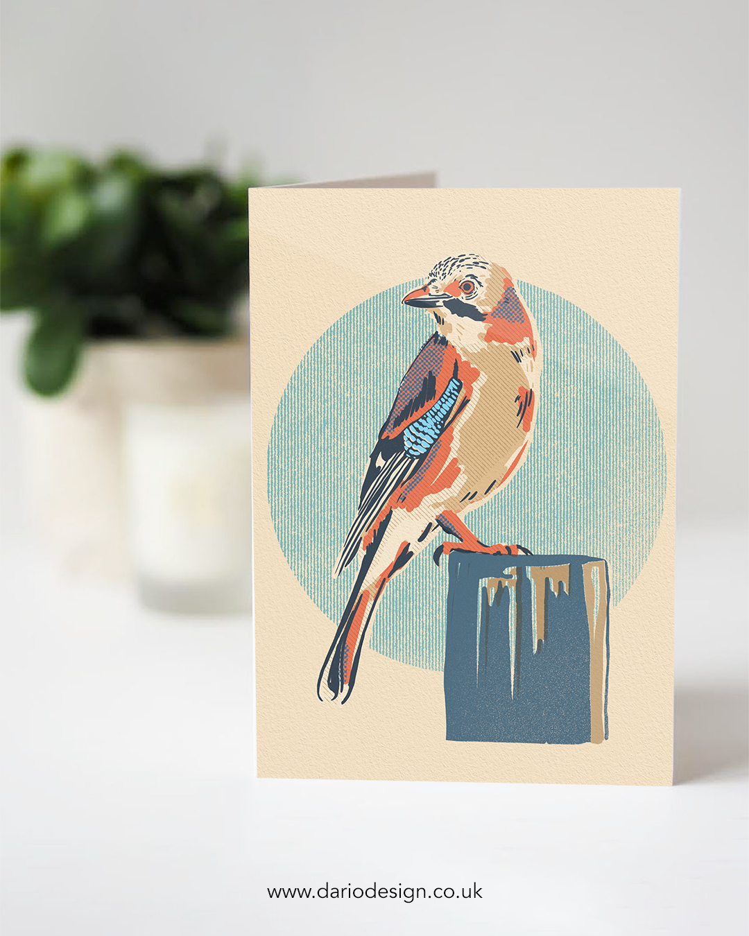 Jay - A6 Greeting Card