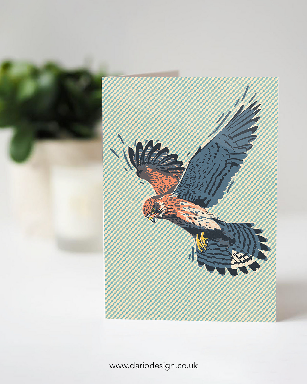 Kestrel - A6 Greeting Card