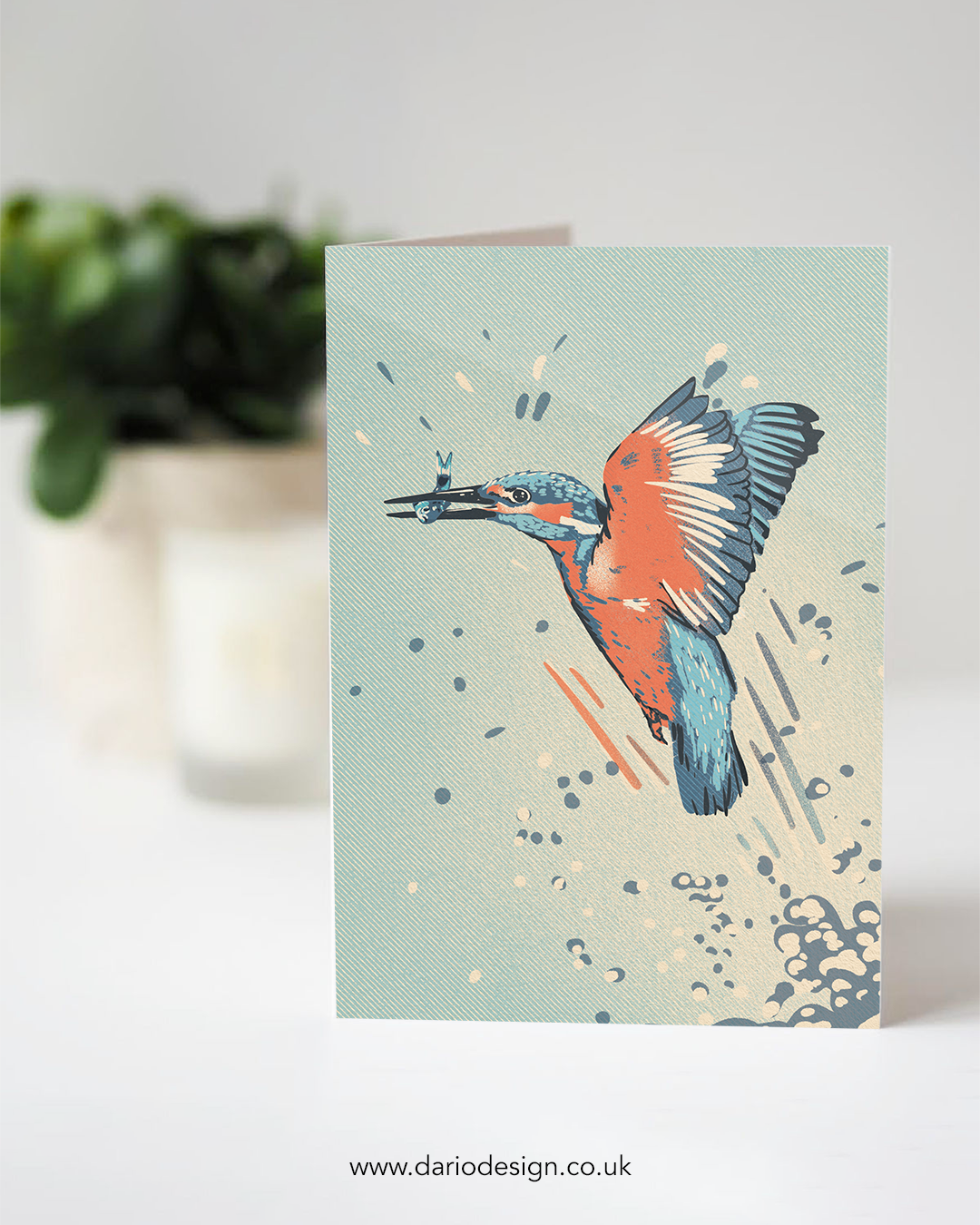 Kingfisher - A6 Greeting Card