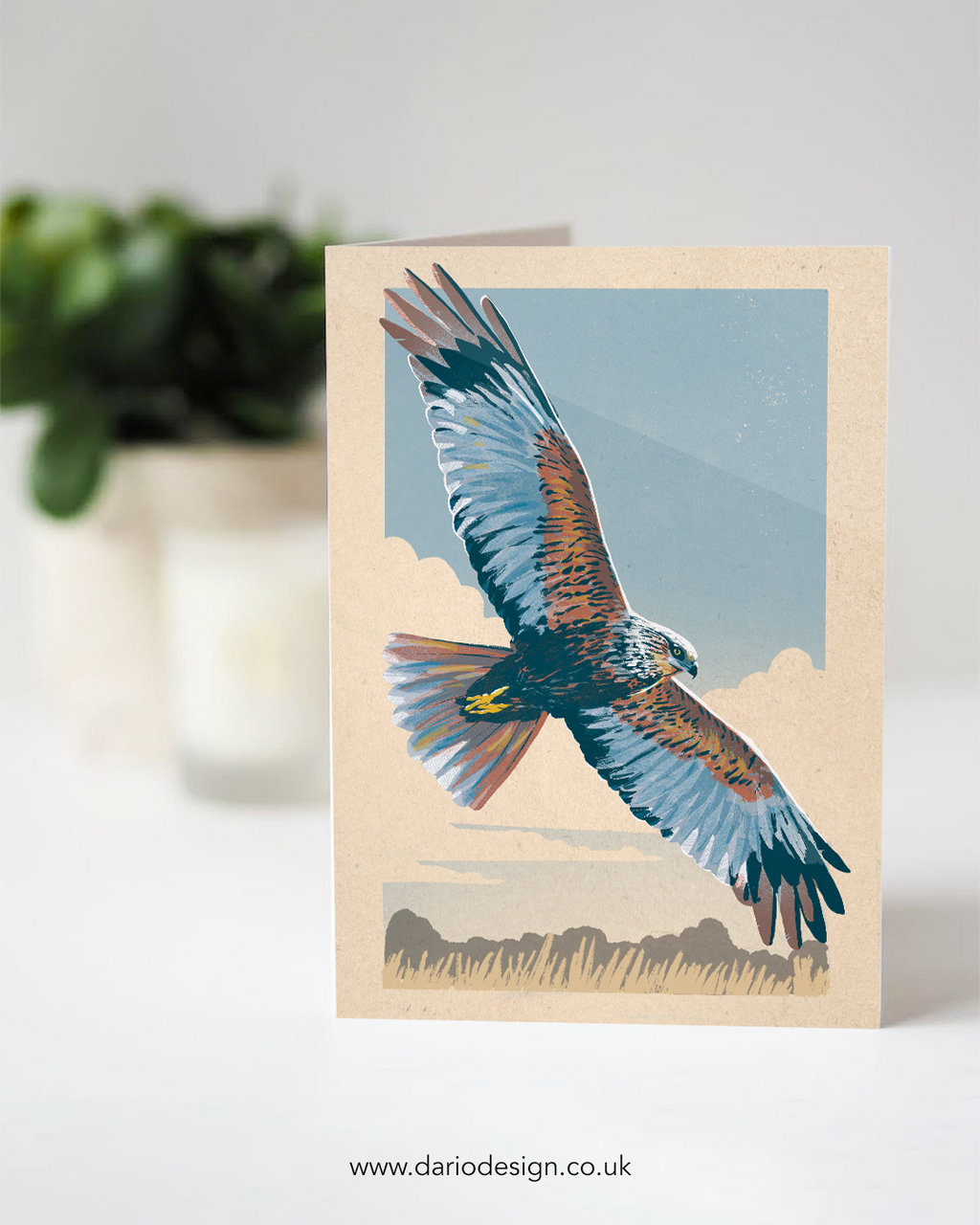 Marsh Harrier - A6 Greeting Card