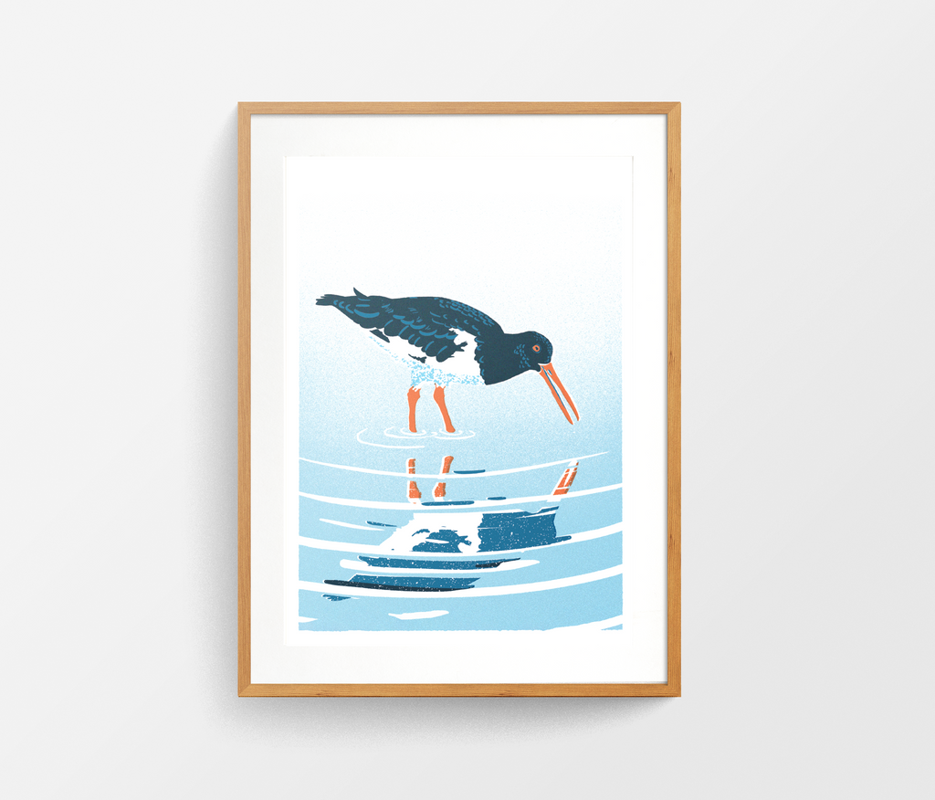 Oystercatcher print