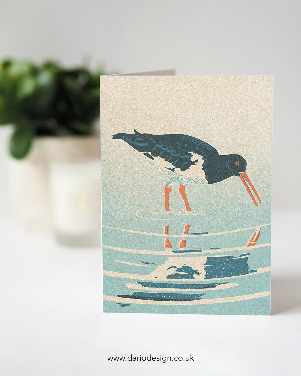 Ostercatcher - A6 Greeting Card