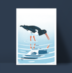 Oystercatcher print