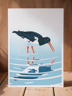 Oystercatcher print