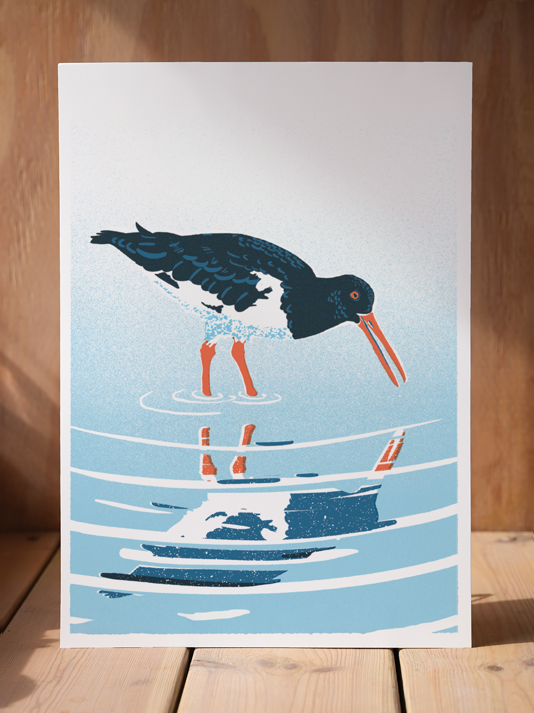 Oystercatcher print