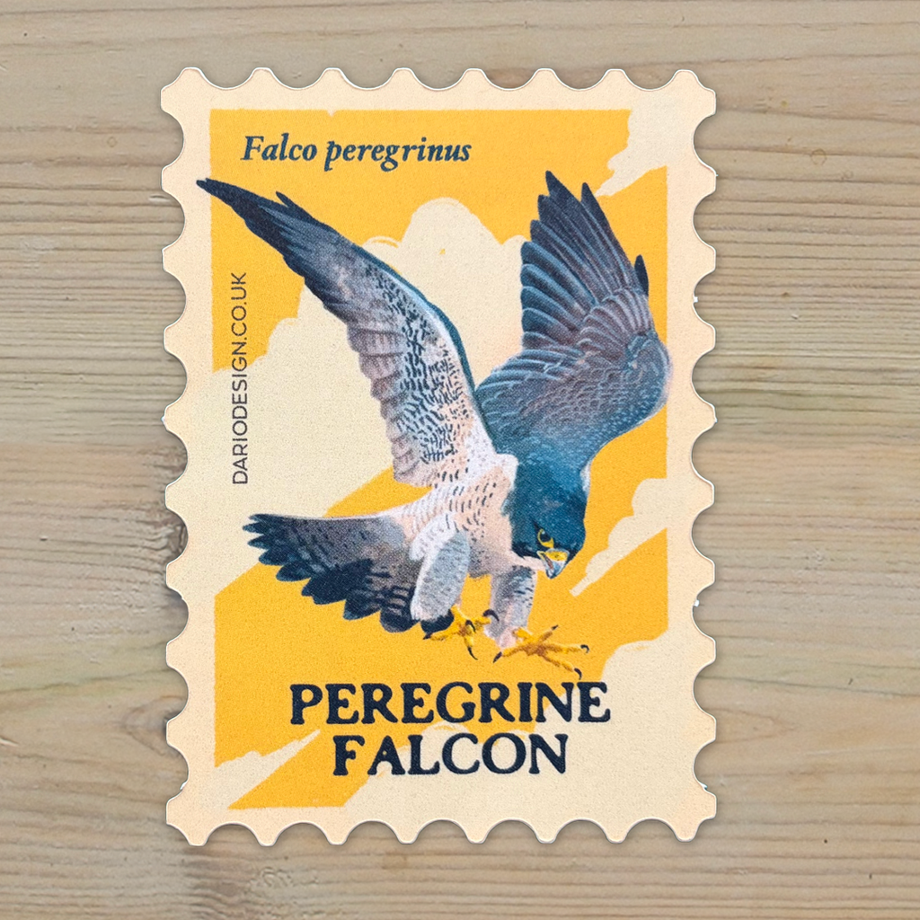 Peregrine Falcon vinyl sticker