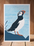 Puffin print