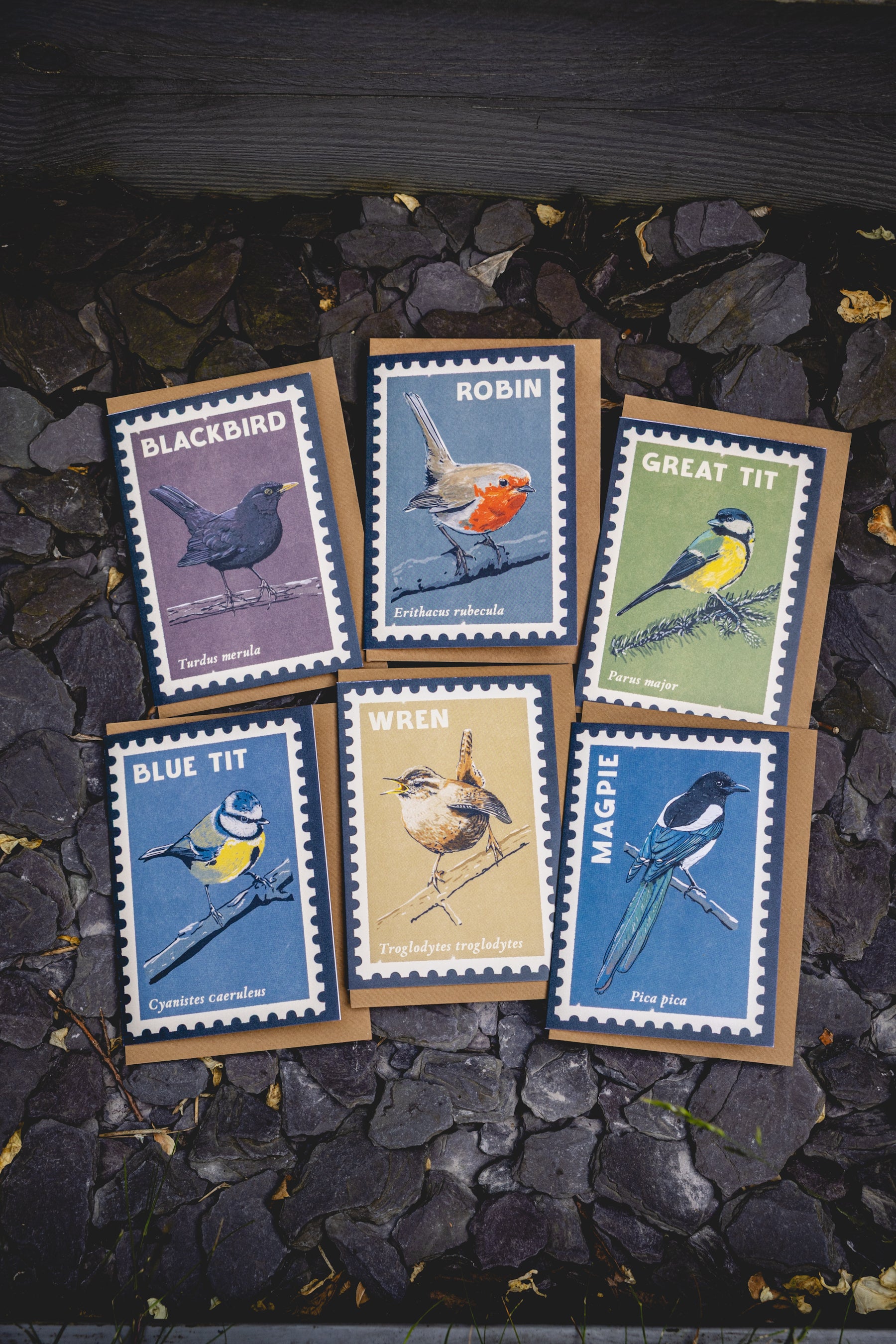 Songbirds - 6x retro illustrated greeting card multipack