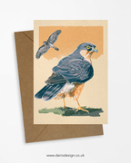 Sparrowhawk - A6 Greeting Card