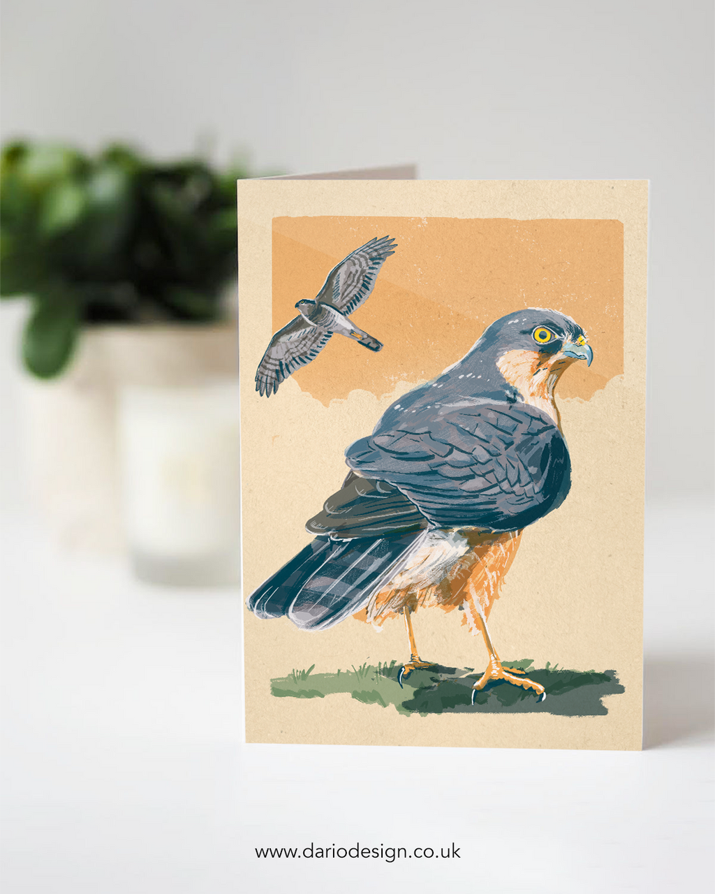 Sparrowhawk - A6 Greeting Card