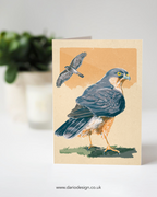 Sparrowhawk - A6 Greeting Card