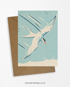Tern - A6 Greeting Card