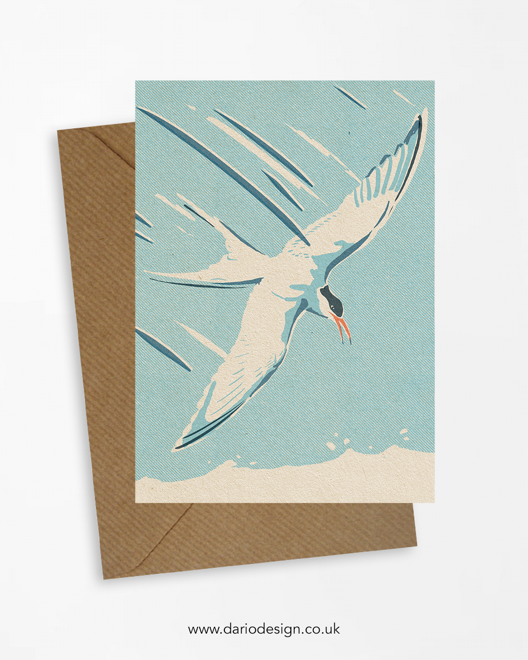 Tern - A6 Greeting Card
