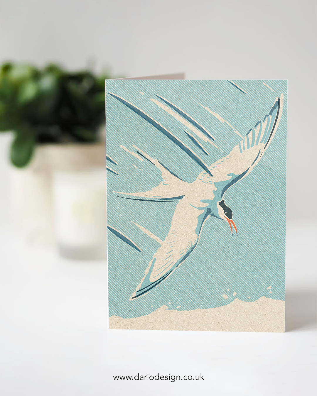 Tern - A6 Greeting Card