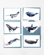 Whales - 6 x Greetings cards