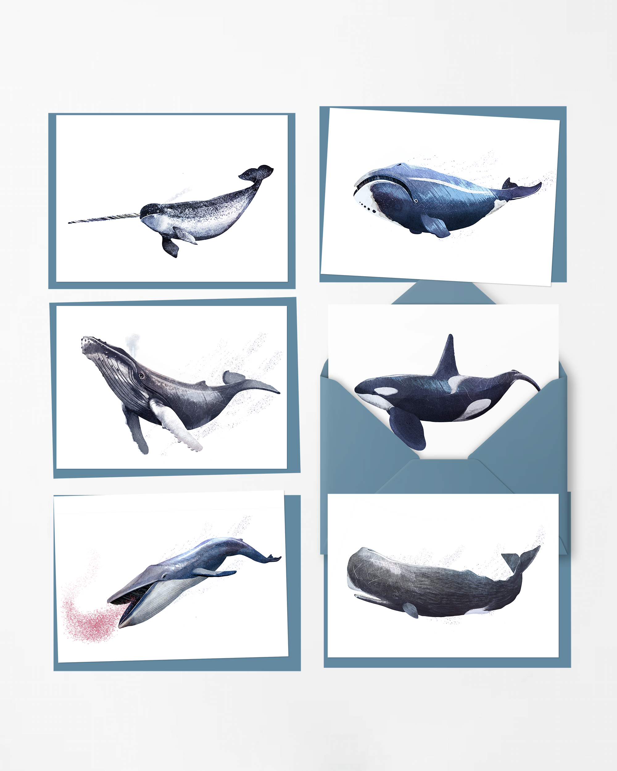 Whales - 6 x Greetings cards