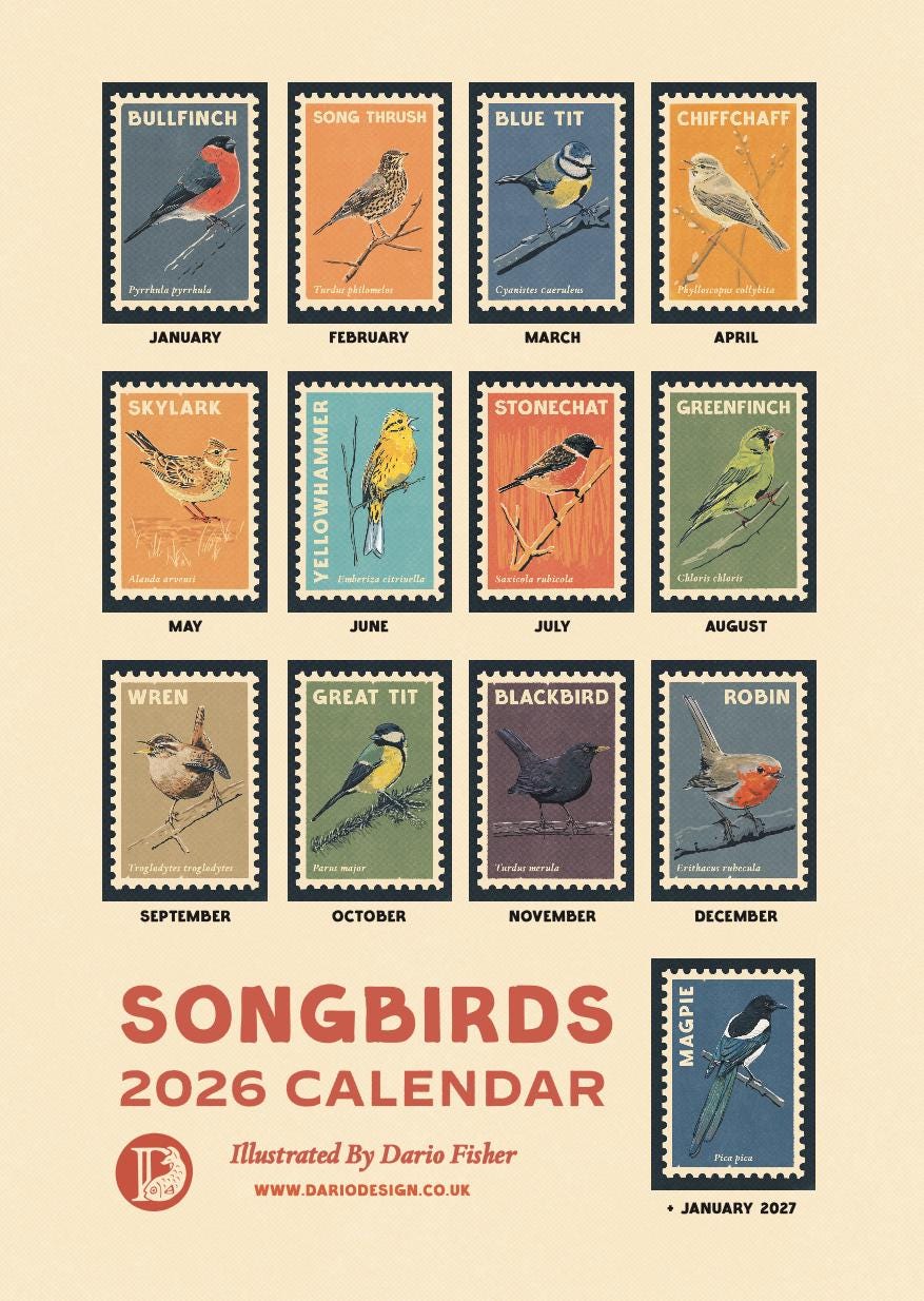 Songbirds - 2026 retro illustrated calendar