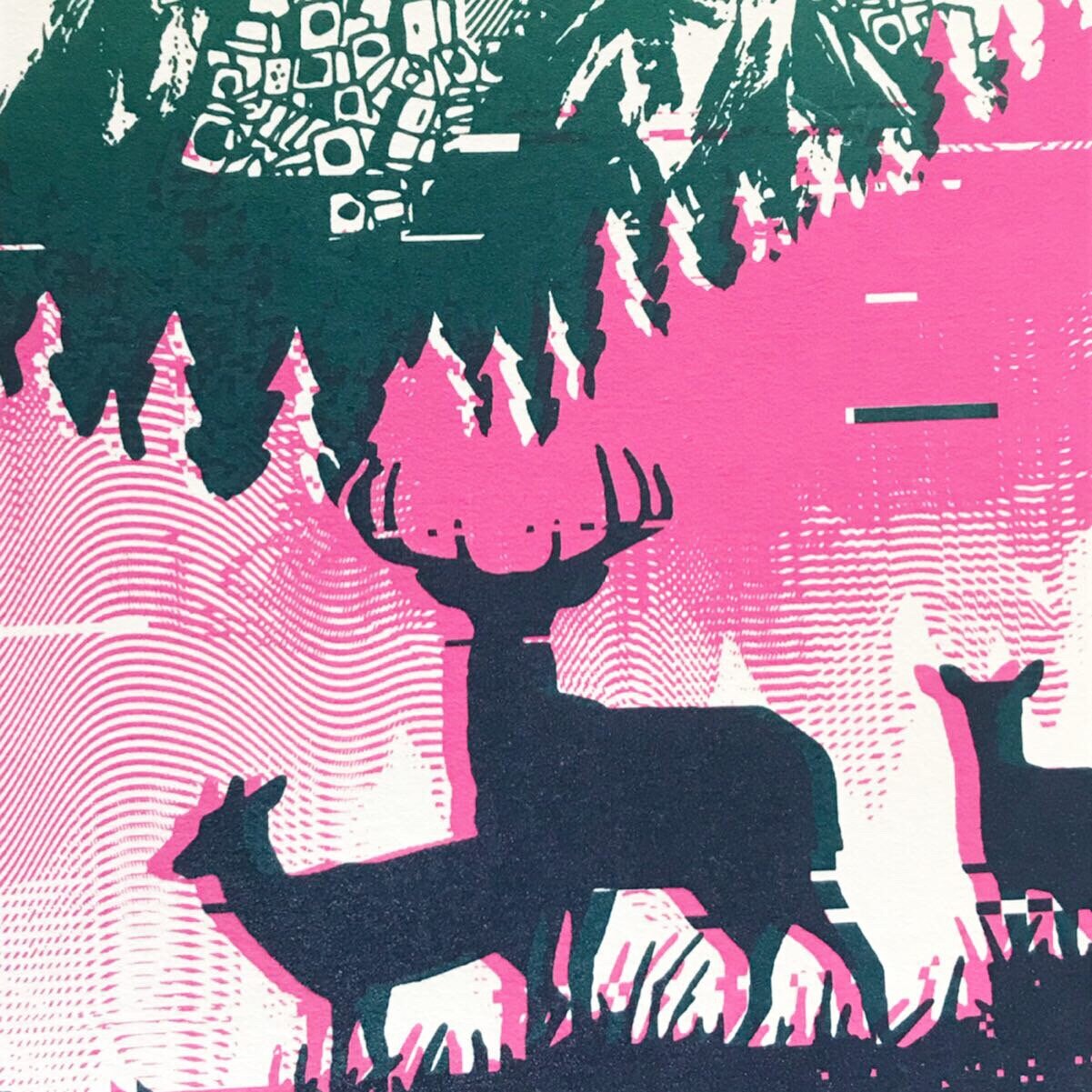 'Broken Household Appliance National Forest' - LTD Edition Screen Print