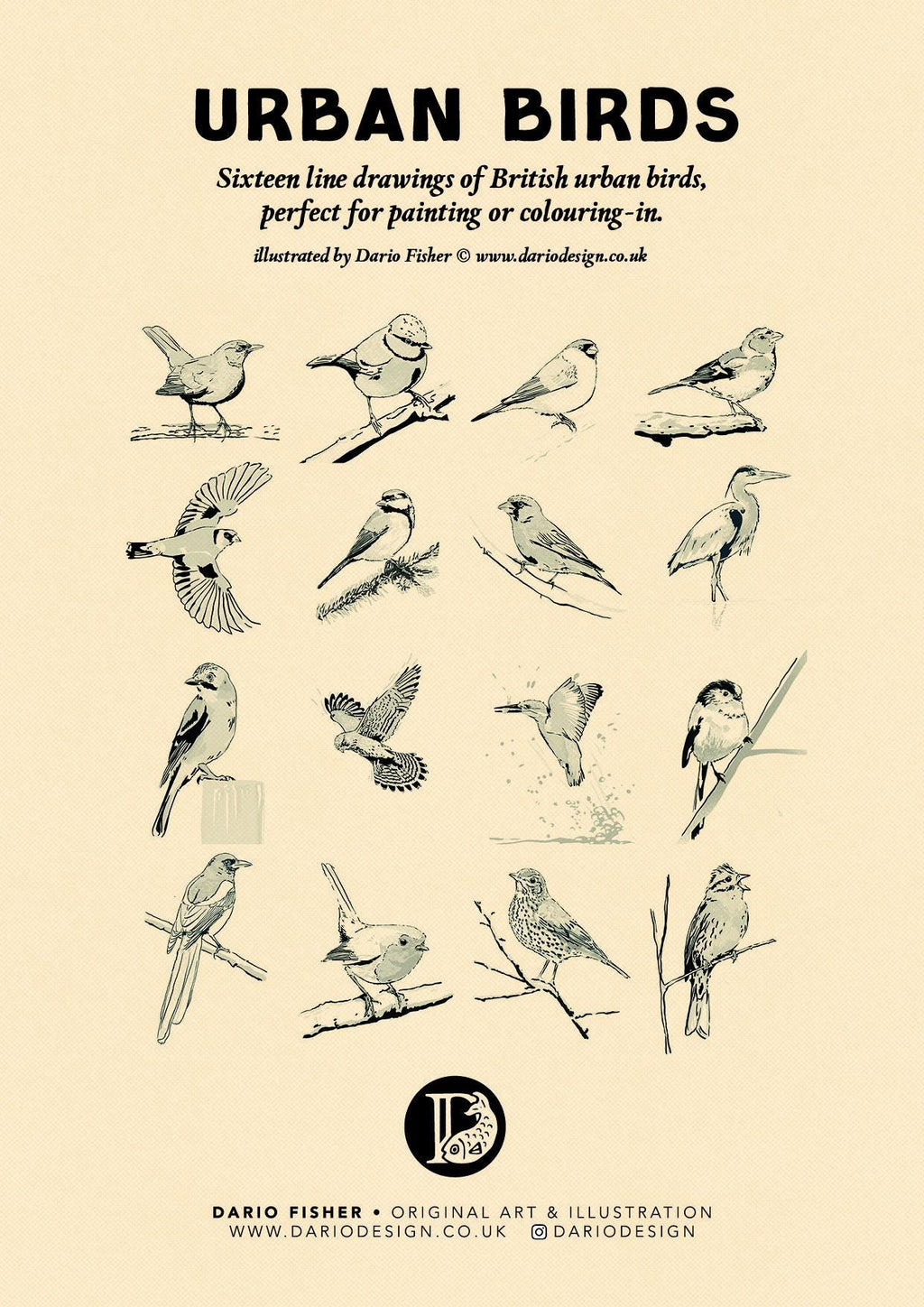Urban Birds - illustrated book for colouring-in or painting