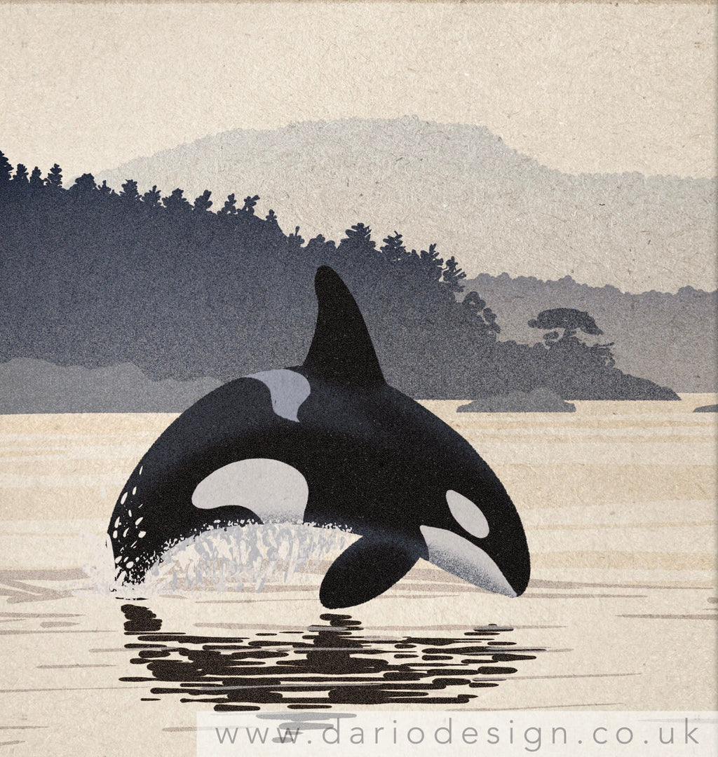 Orca art print