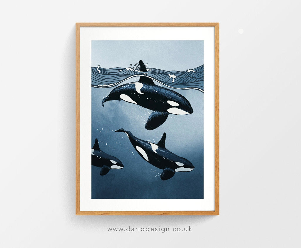 Orca pod print