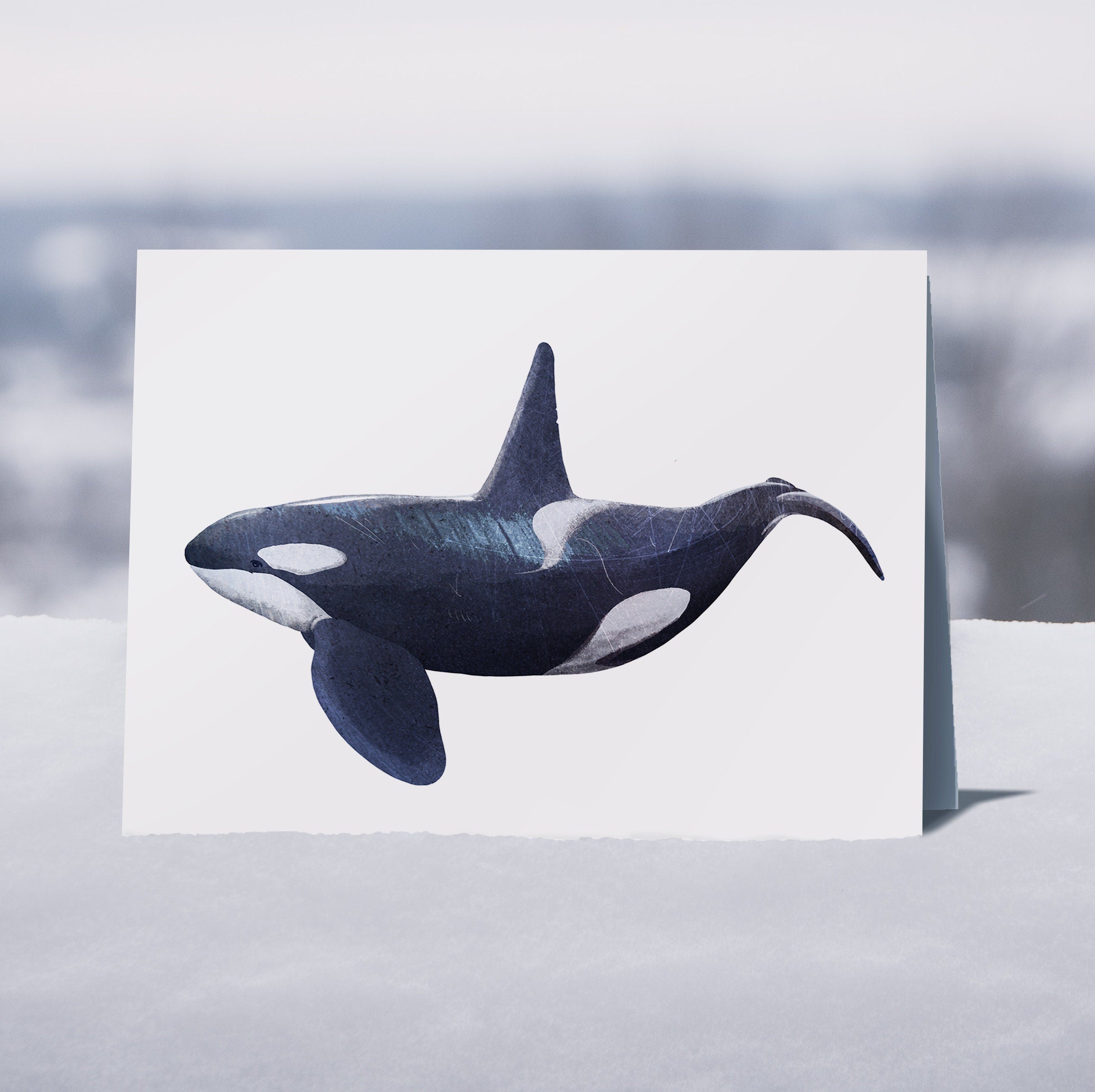 Whales - 6 x Greetings cards