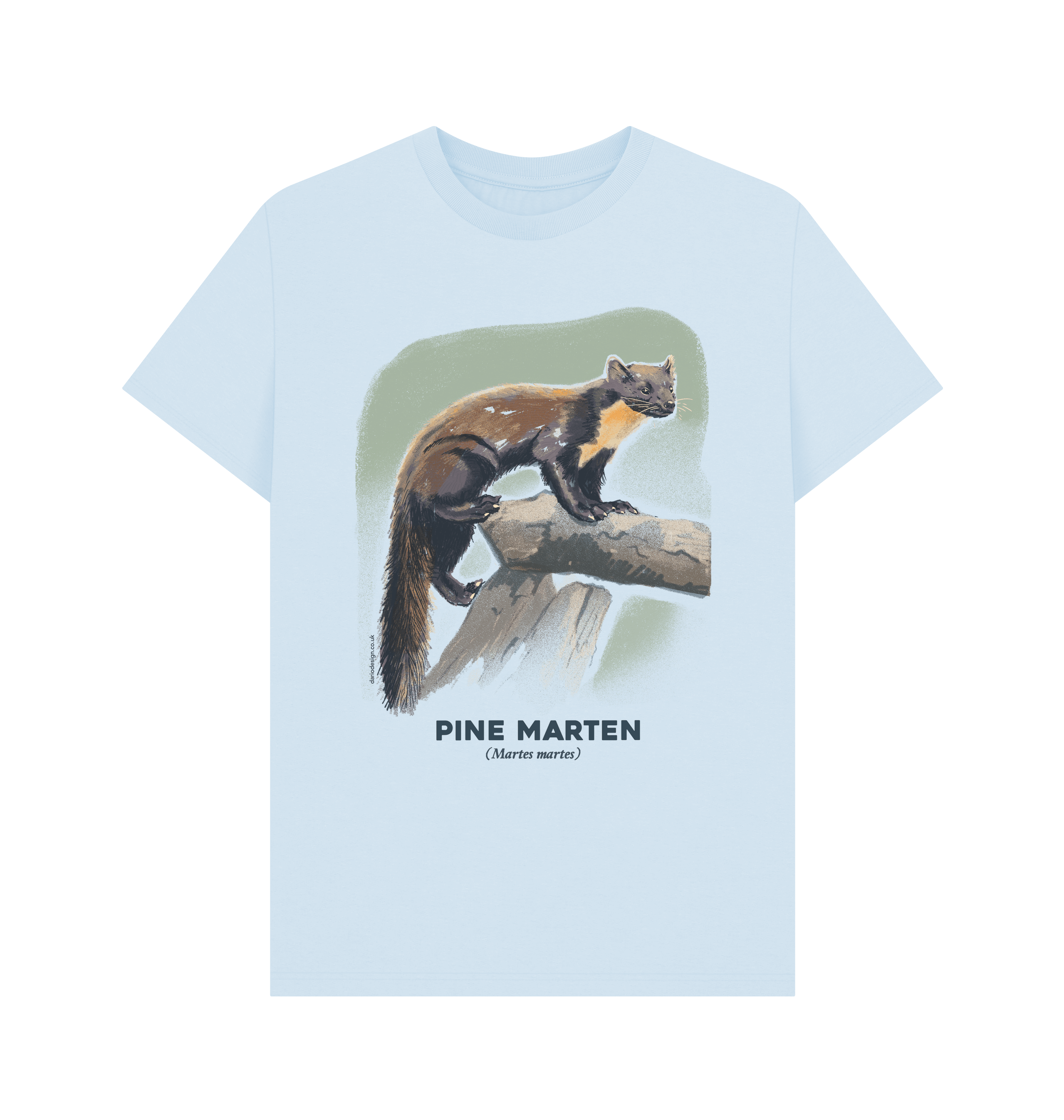Sky Blue Printed T-shirt Front