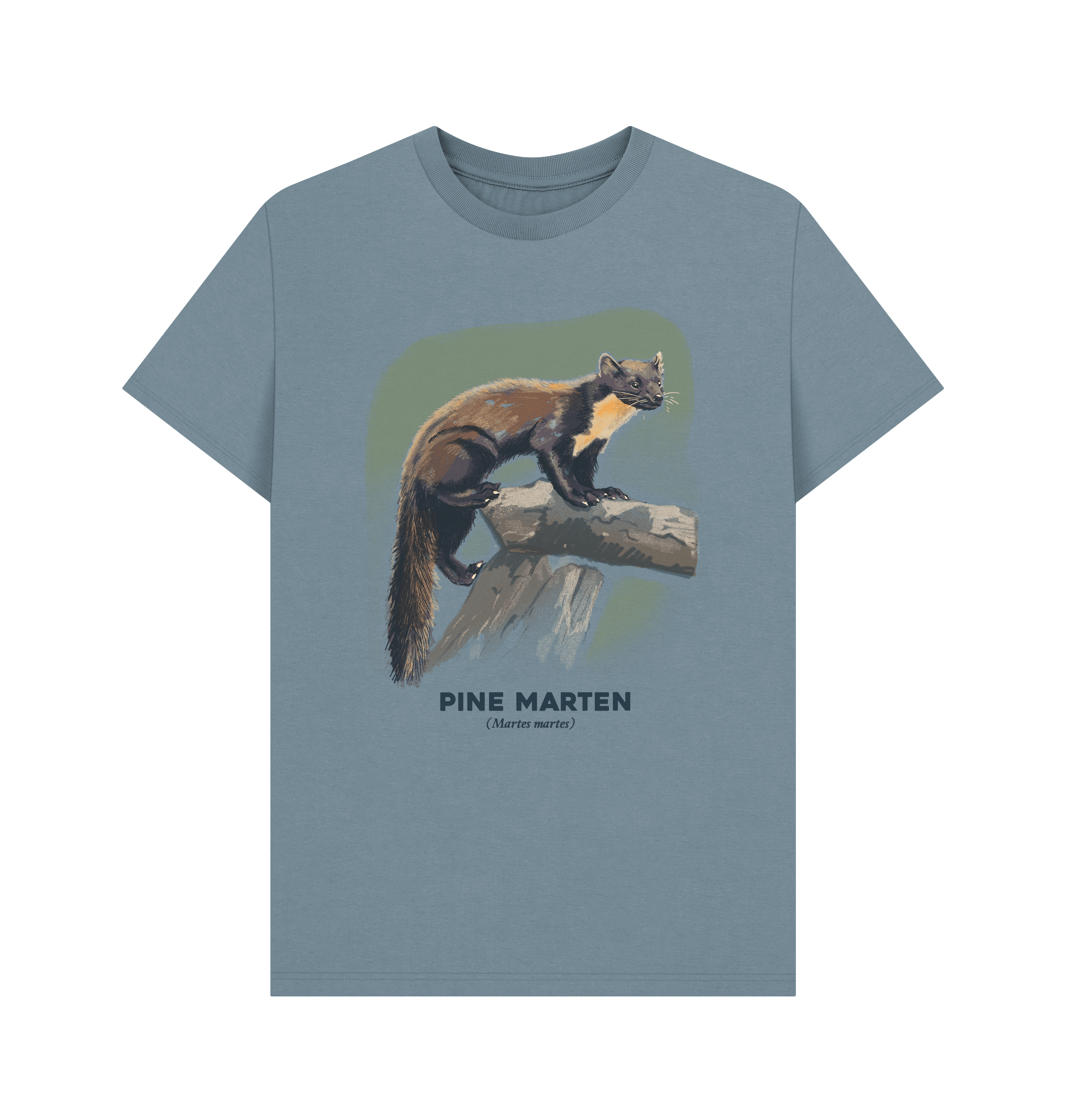 Stone Blue Printed T-shirt Front
