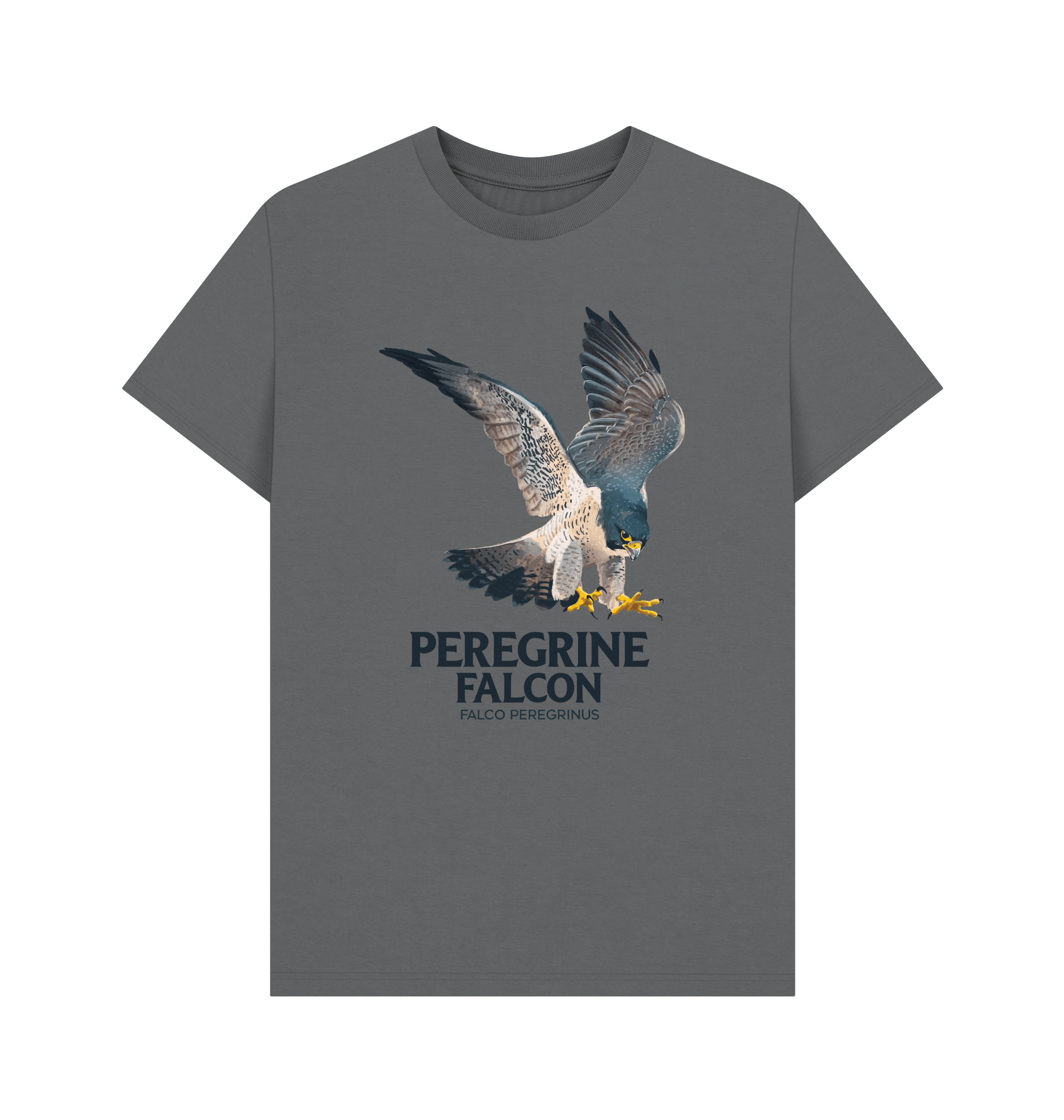 Slate Grey Printed T-shirt Front