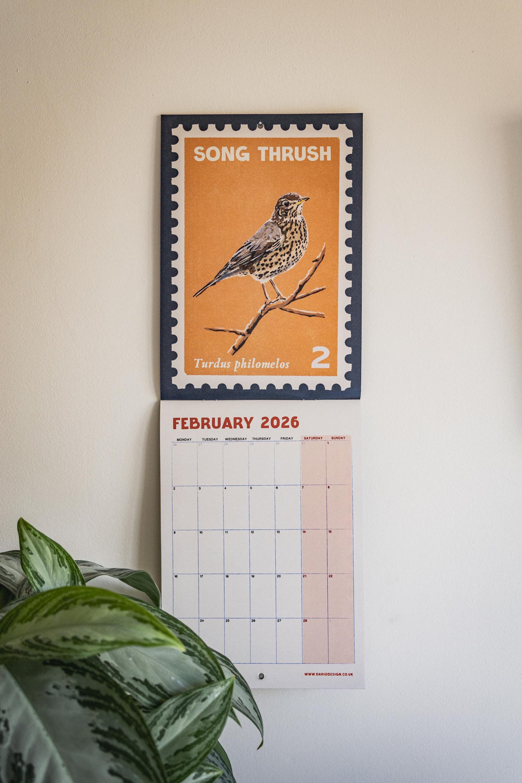 Songbirds - 2026 retro illustrated calendar