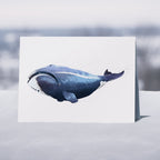 Whales - 6 x Greetings cards