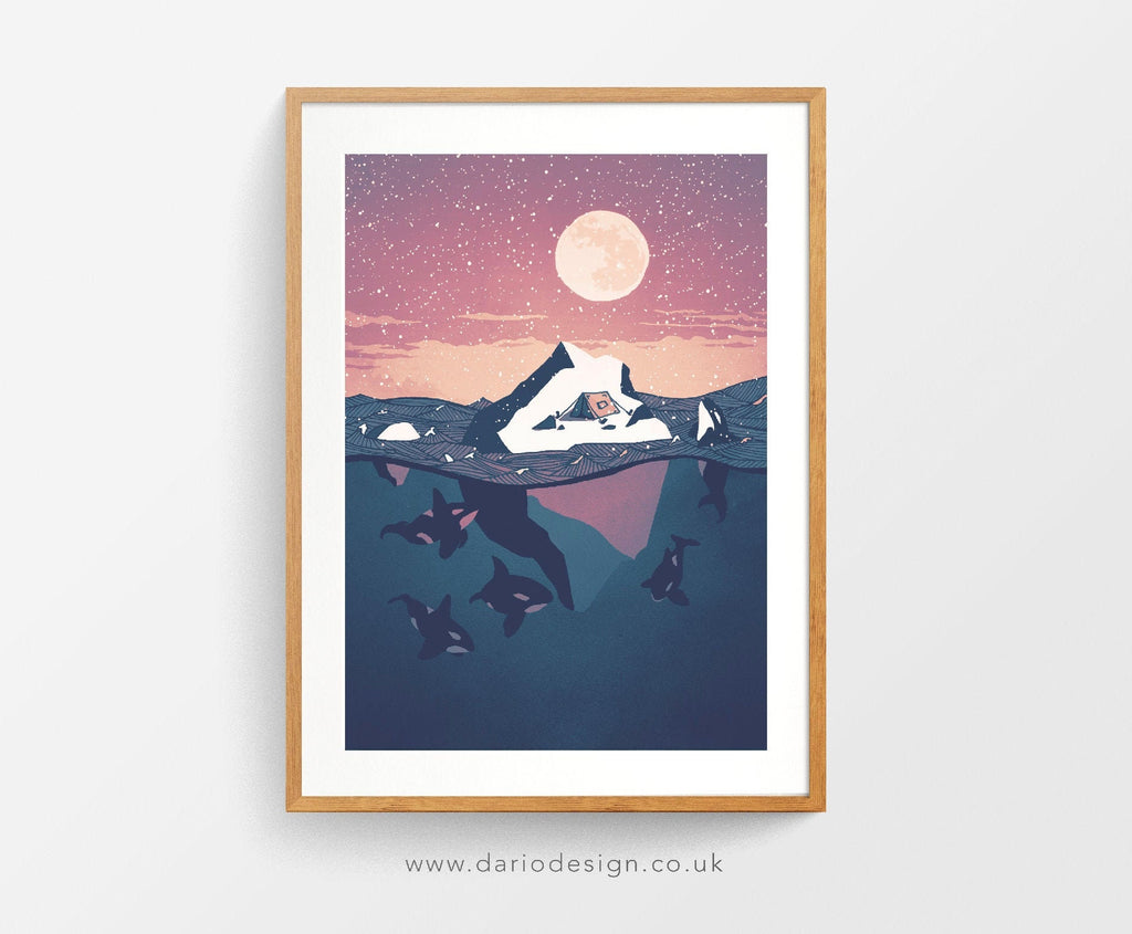 Pod of Orca and iceberg print