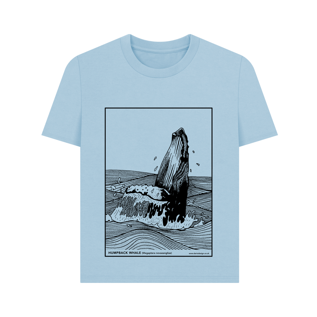 Milky Blue Printed T-shirt Front