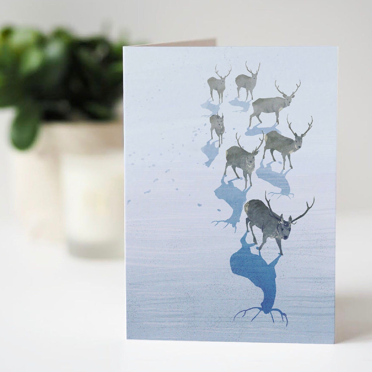 Reindeer greeting card