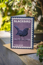 Songbirds - 6x retro illustrated greeting card multipack